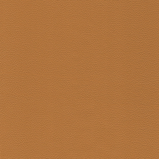 Sierra 677 Camel leather texture swatch