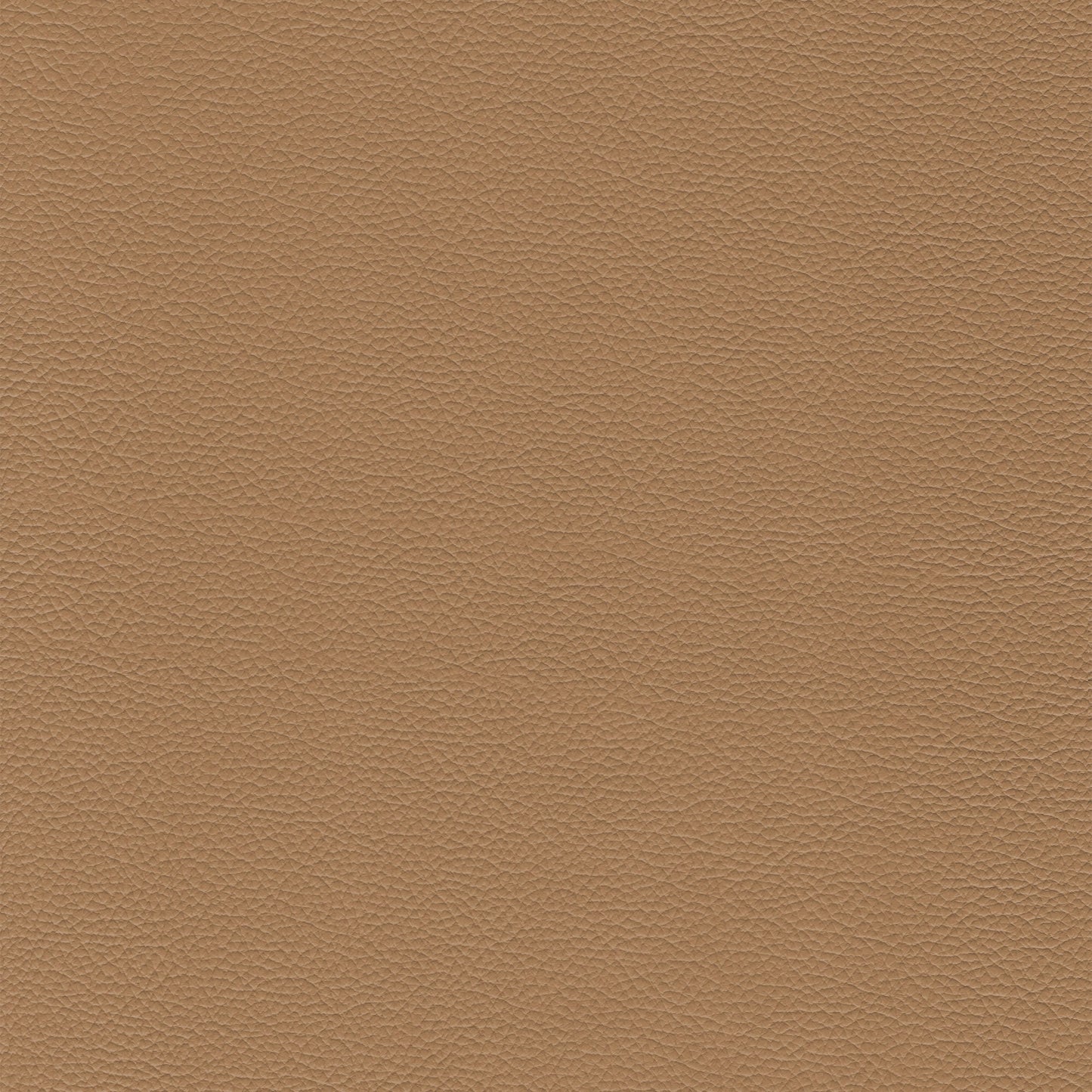 Sierra 699 Pebble leather texture swatch