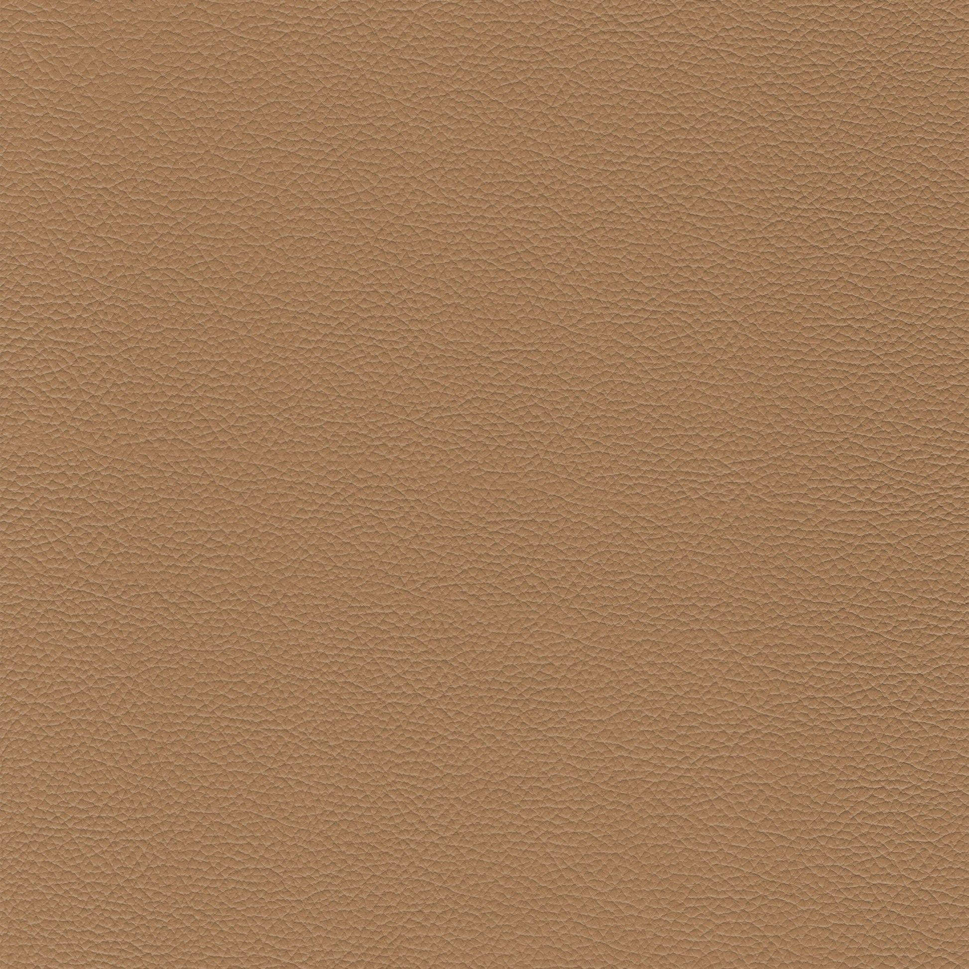 Sierra 699 Pebble leather texture swatch
