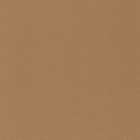 Sierra 699 Pebble leather texture swatch