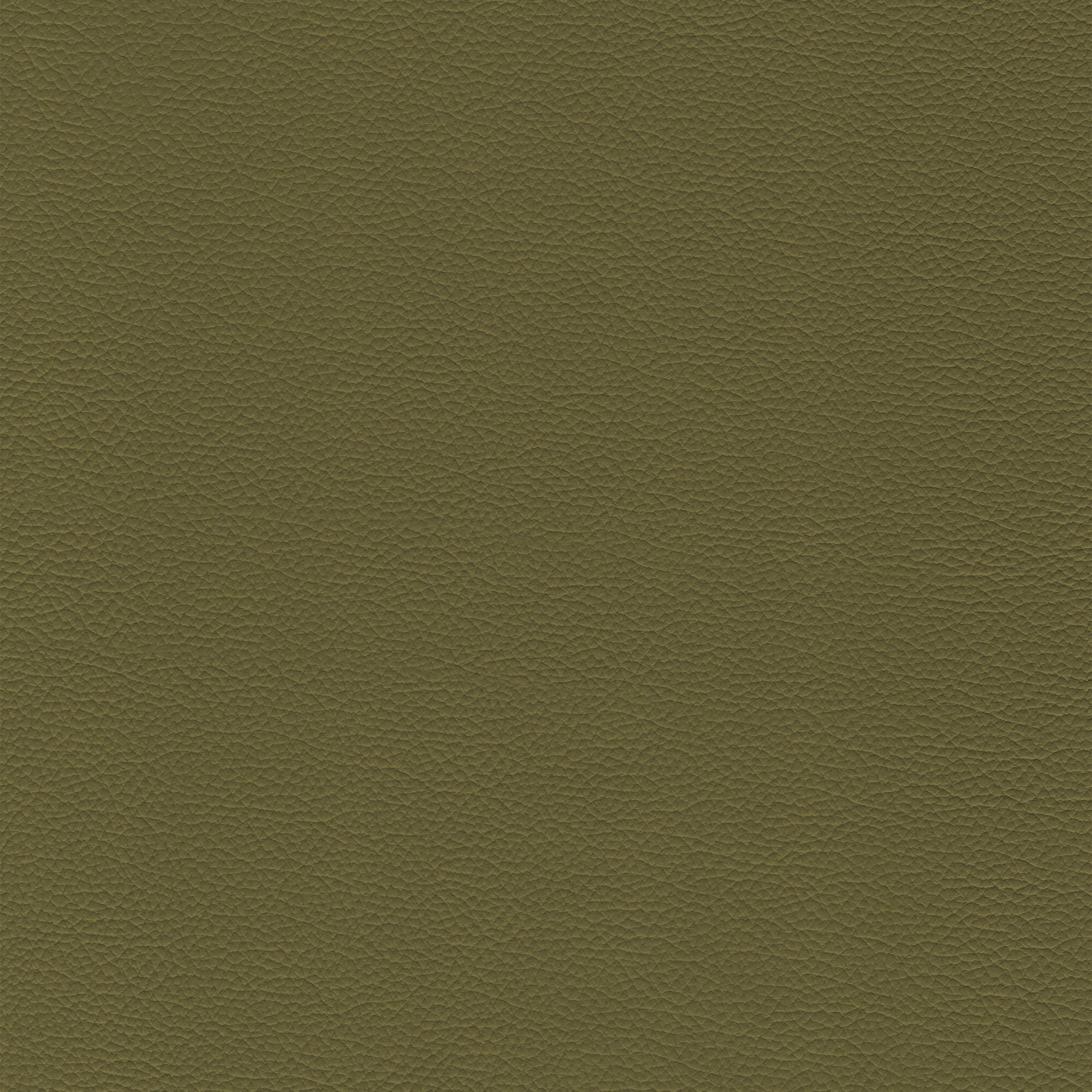 Sierra 8371 Olive leather swatch: textured, olive green upholstery fabric.