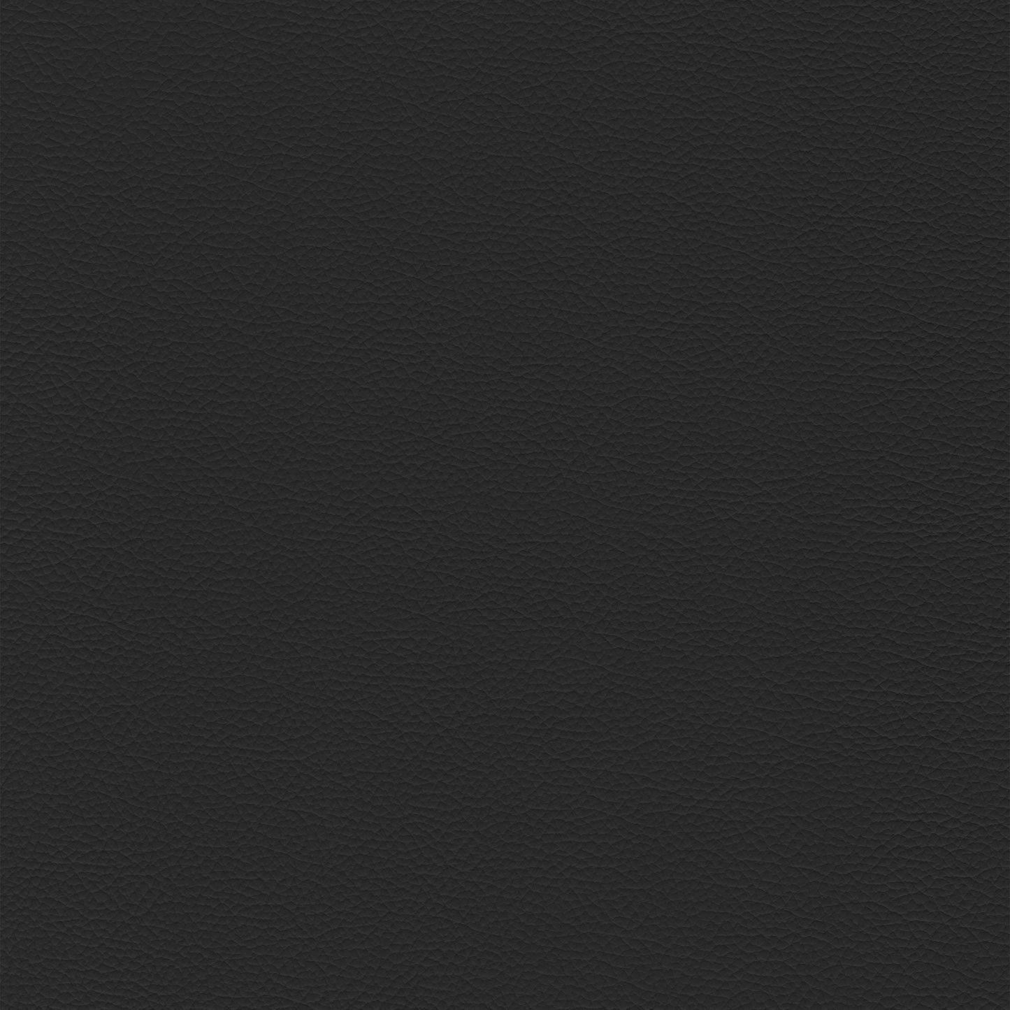 Sierra 900 Black textured leather swatch.