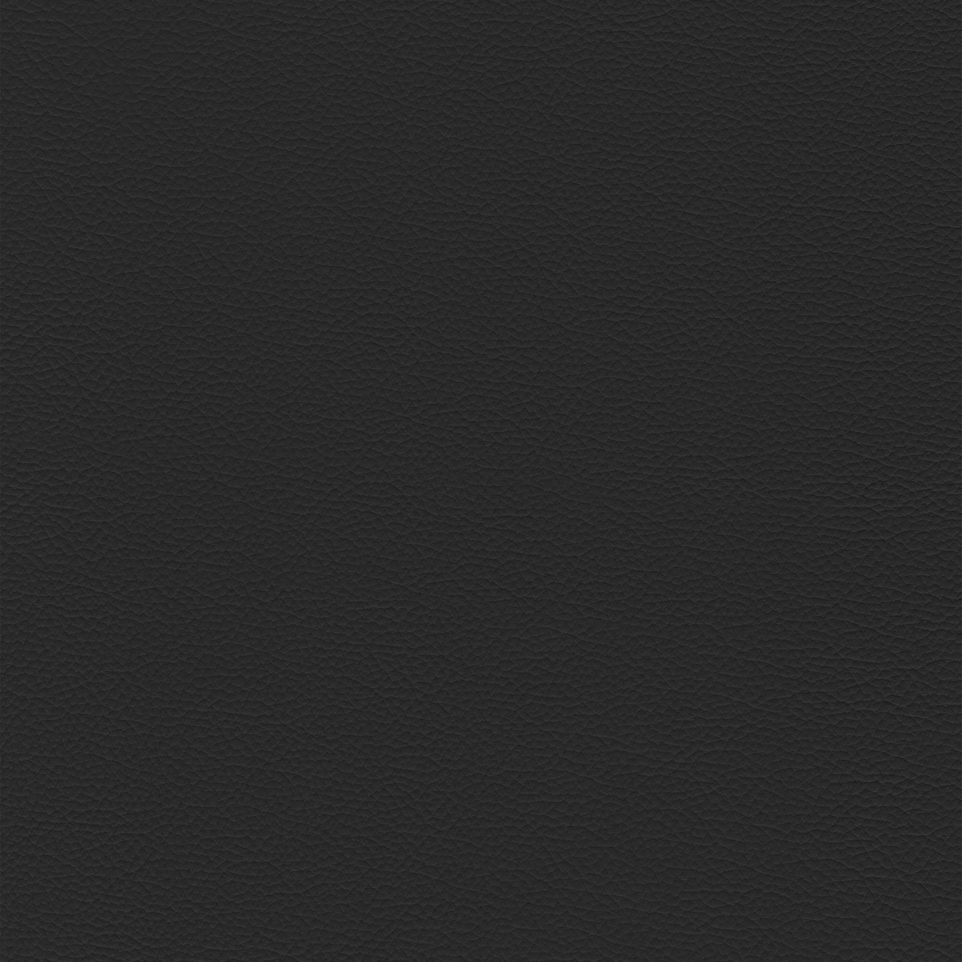 Sierra 900 Black textured leather swatch.