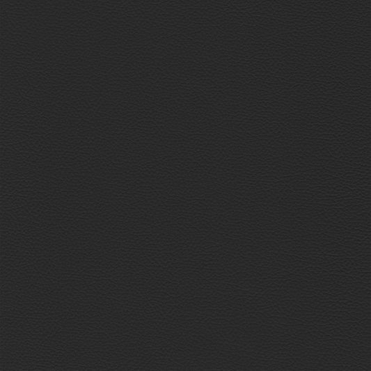 Sierra 900 Black textured leather swatch.