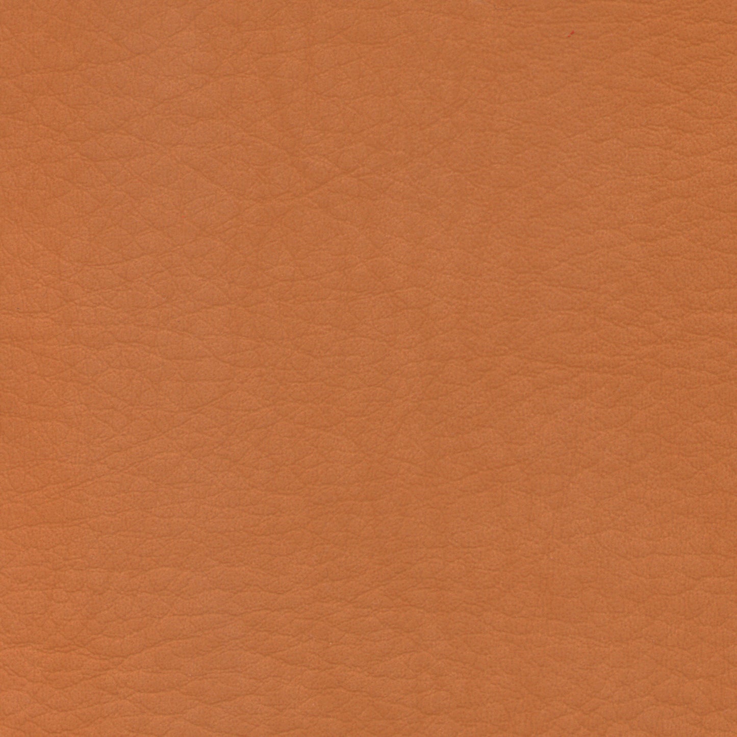 WHI2123 Whisper Neo Plus Luggage: Light brown leather-like texture