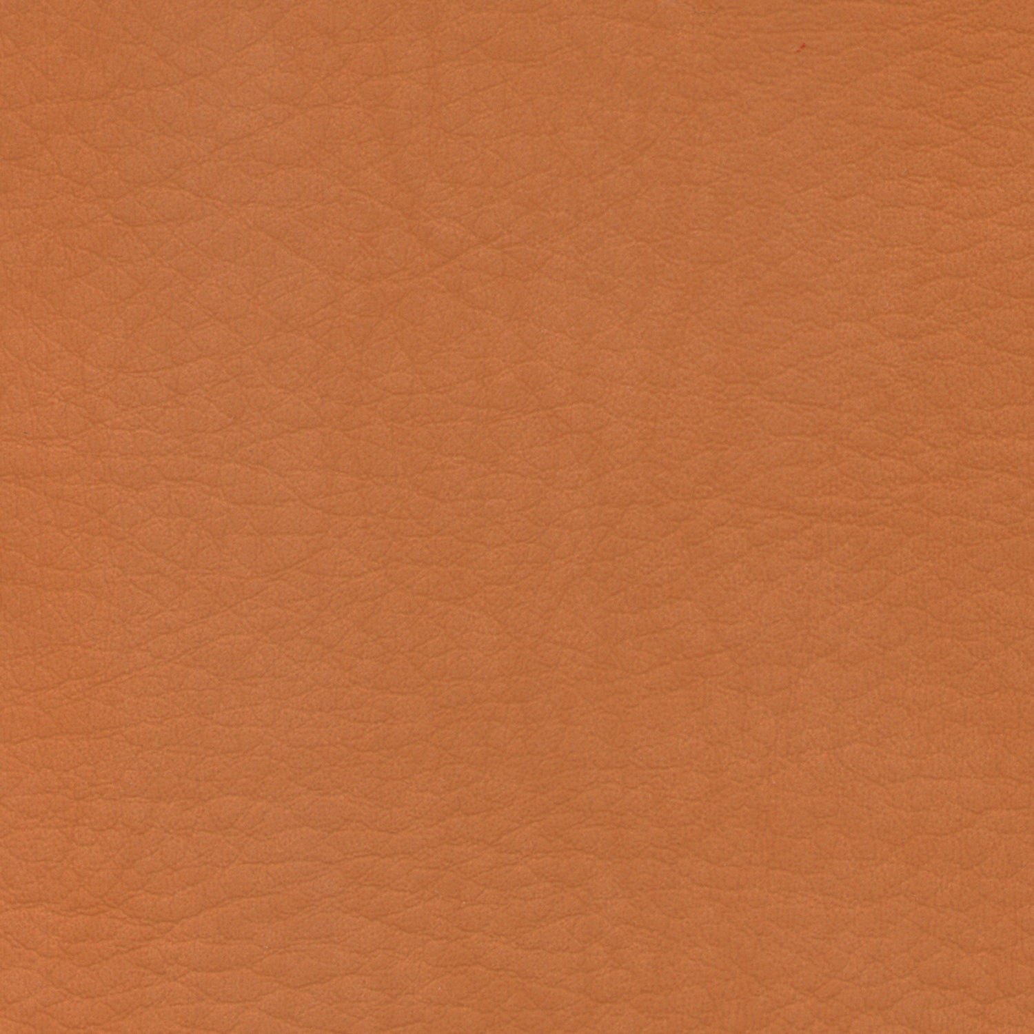 WHI2123 Whisper Neo Plus Luggage: Light brown leather-like texture