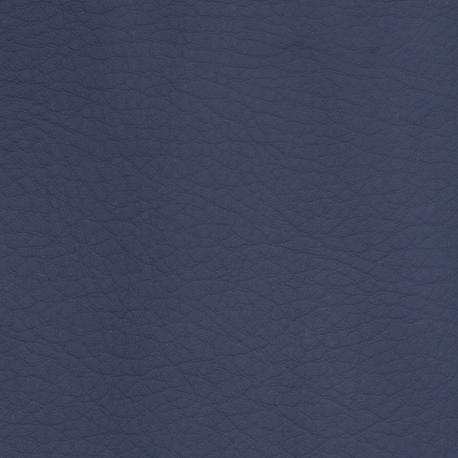 WHI2137 Whisper Neo Plus Navy leather swatch