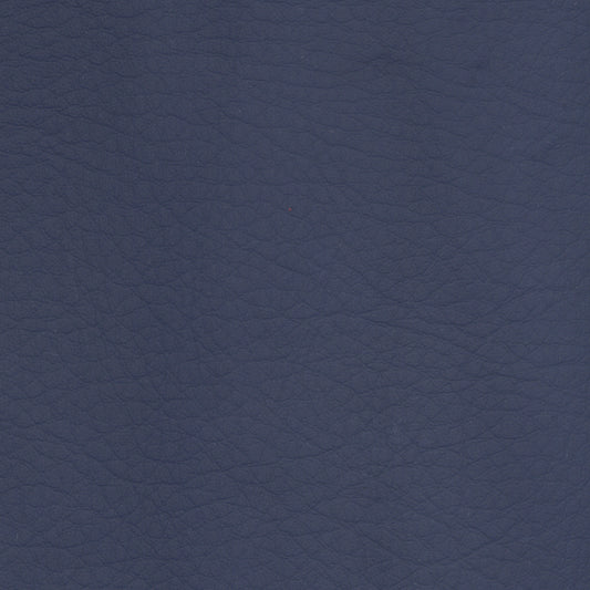 WHI2137 Whisper Neo Plus Navy leather swatch