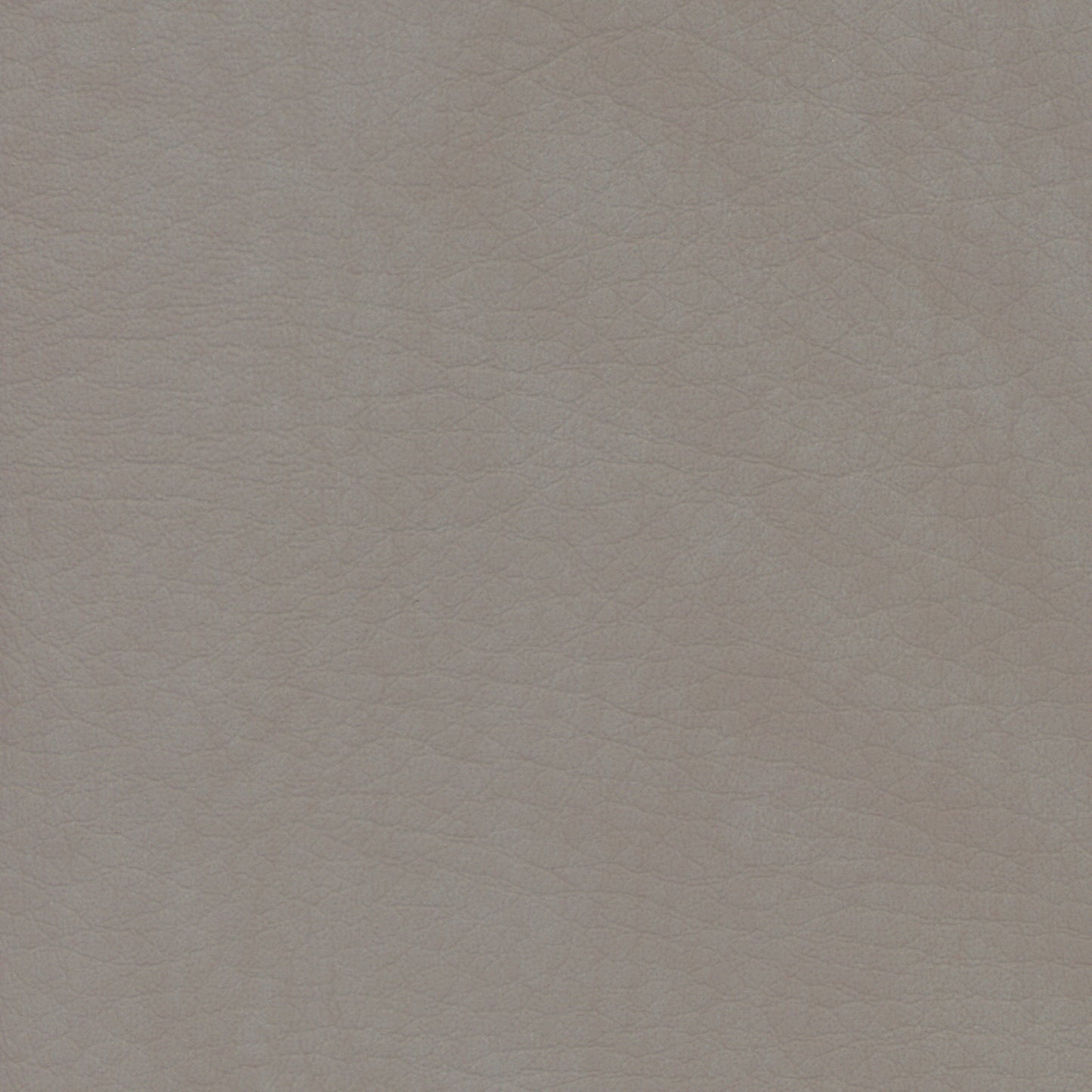 WHI2138 Whisper Neo Plus Elephant: Light taupe textured leather swatch.