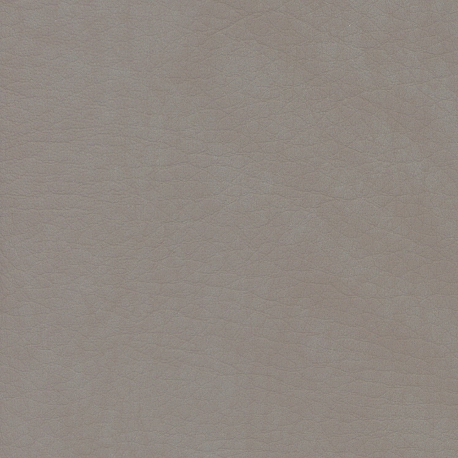 WHI2138 Whisper Neo Plus Elephant: Light taupe textured leather swatch.
