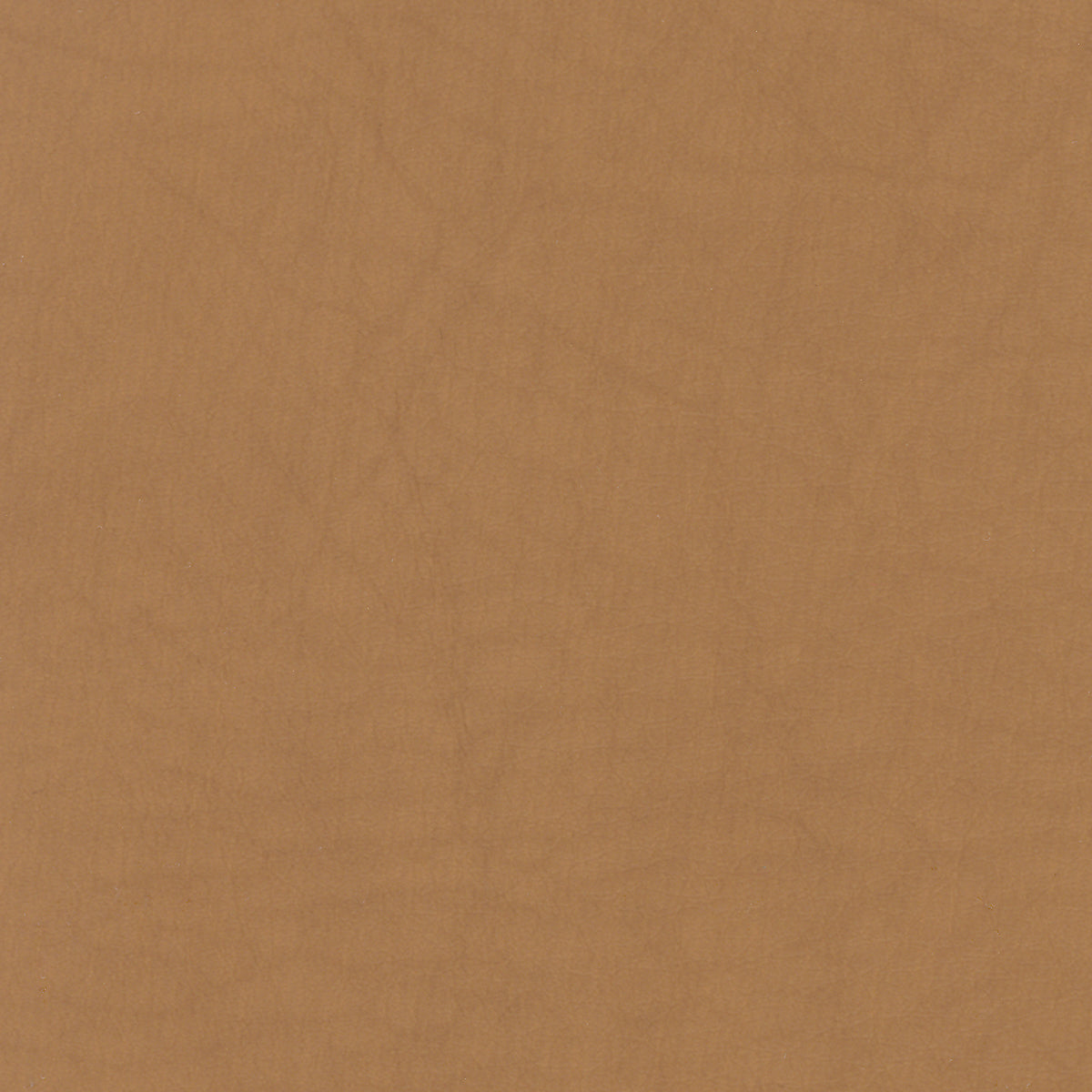 WHI2142 Whisper Neo Plus Cognac leather swatch