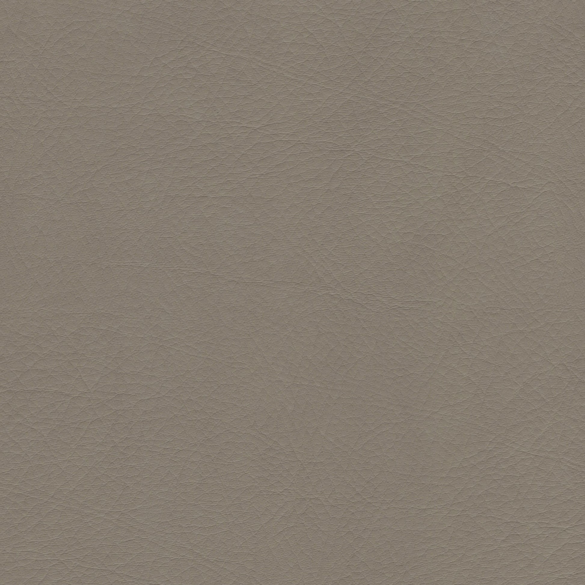 WHI2150 Whisper Neo Plus Fawn textured leather swatch.
