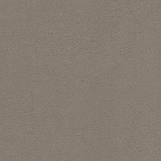 WHI2150 Whisper Neo Plus Fawn textured leather swatch.