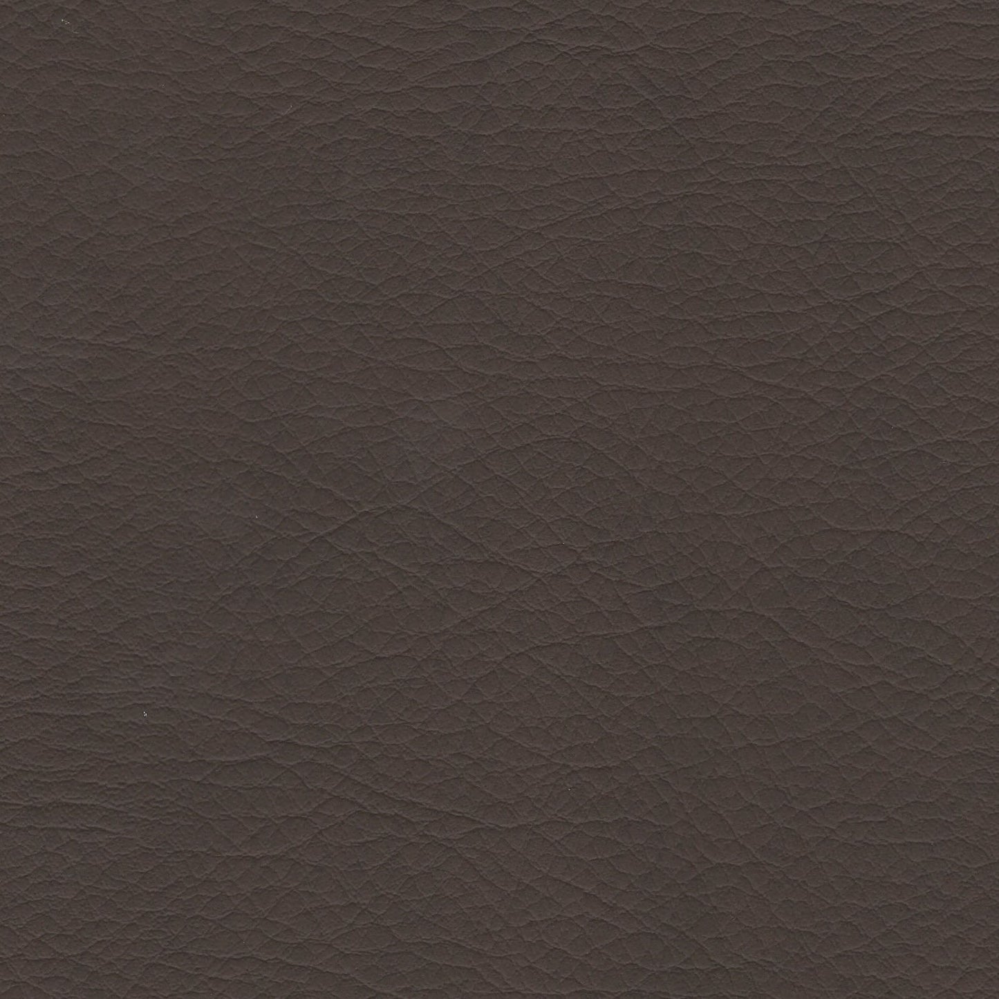 WHI2153 Whisper Neo Plus Truffle: Dark brown textured vinyl upholstery sample.