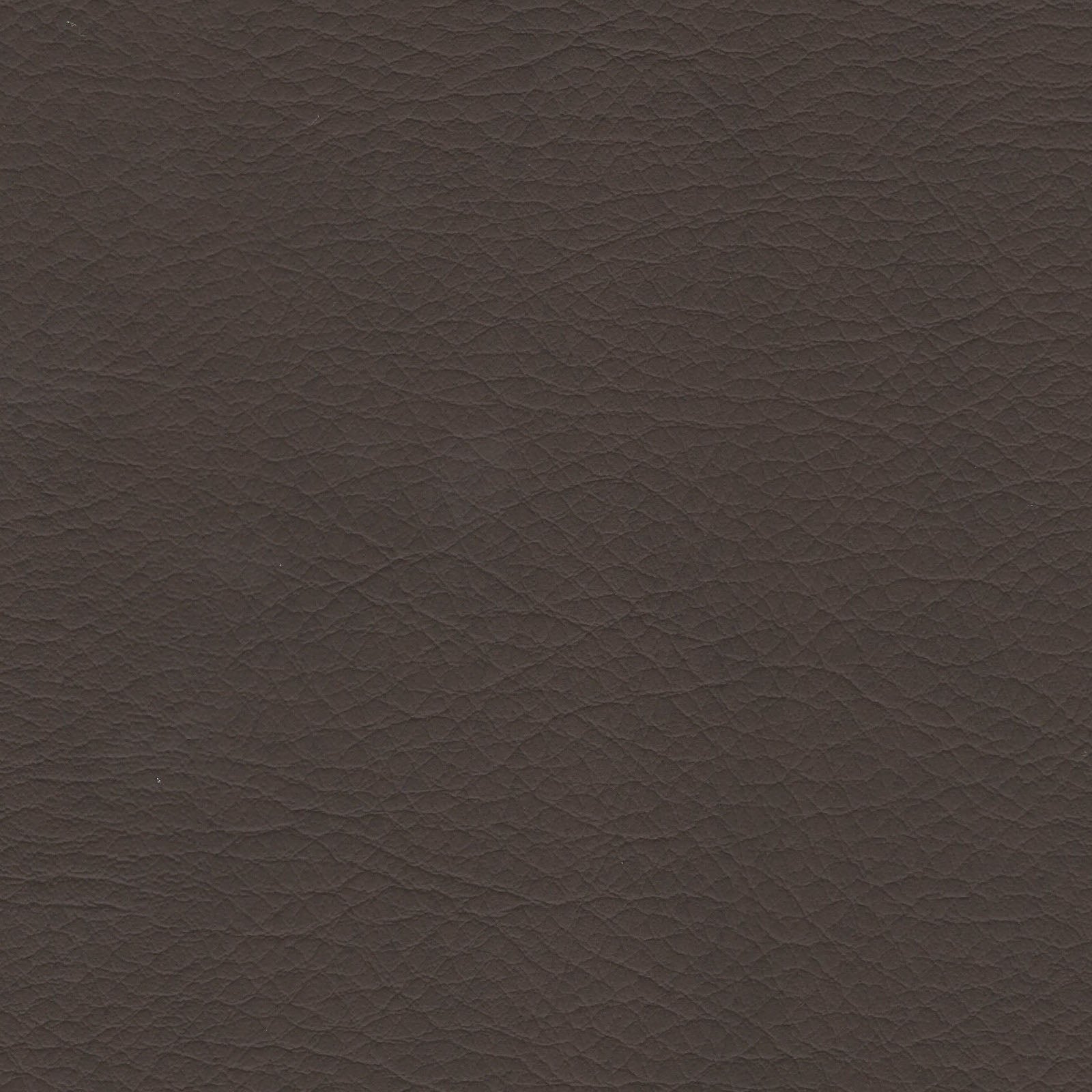 WHI2153 Whisper Neo Plus Truffle: Dark brown textured vinyl upholstery sample.
