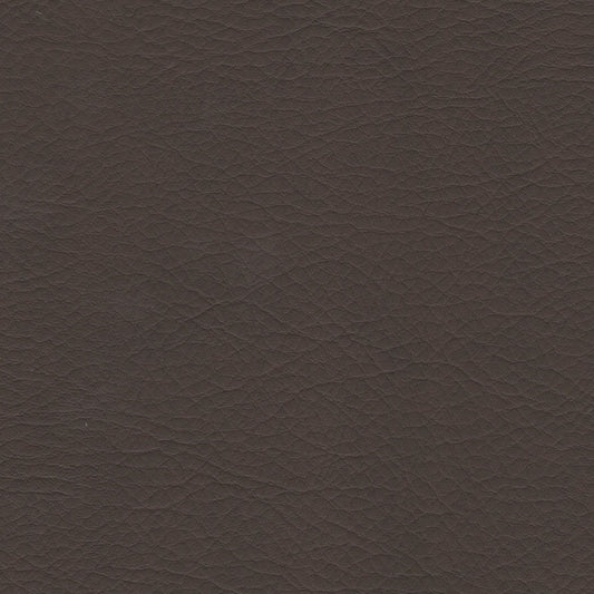 WHI2153 Whisper Neo Plus Truffle: Dark brown textured vinyl upholstery sample.