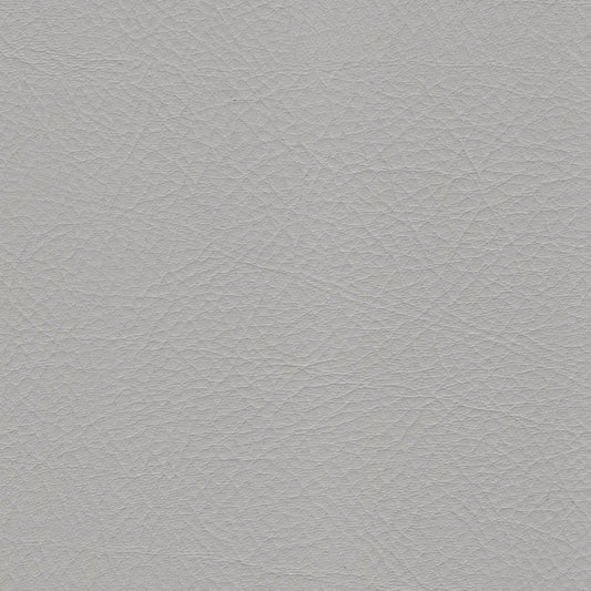 WHI2157 Whisper Neo Plus Fog leather texture sample.
