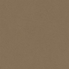 Colorado Camel vinyl flooring, sold by the roll, in a neutral taupe color.