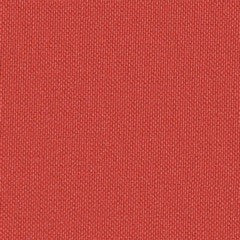 Elysee Cayenne vinyl flooring: rich red roll for durable, stylish floors.