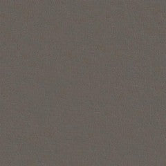 Sofdura 26 Iron vinyl flooring, dark gray, sold by the roll.