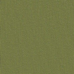 Elysee Palm vinyl flooring, olive green, sold by the roll.