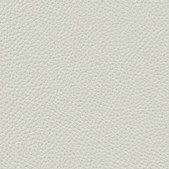 Cetacea Sand Dollar off-white vinyl flooring, sold by the roll.