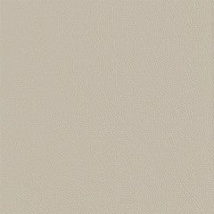 Vista NFR Sediment wallpaper roll, 40 yards, light beige