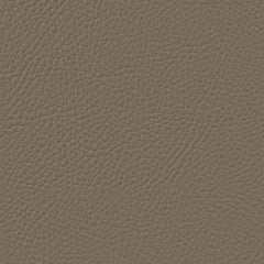Cetacea Silt Dollar vinyl flooring, taupe textured roll