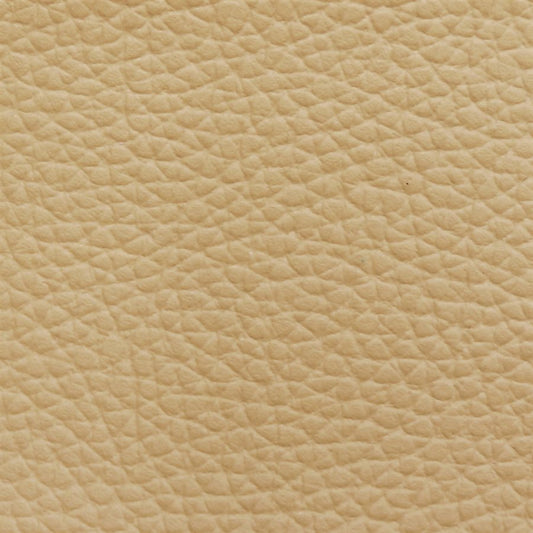 Seascape Serenity Sand Dollar Marine Vinyl: Beige textured vinyl fabric sample.