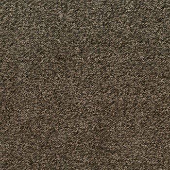 Culp Contract Truman Molasses carpet texture: dark brown speckled pattern.