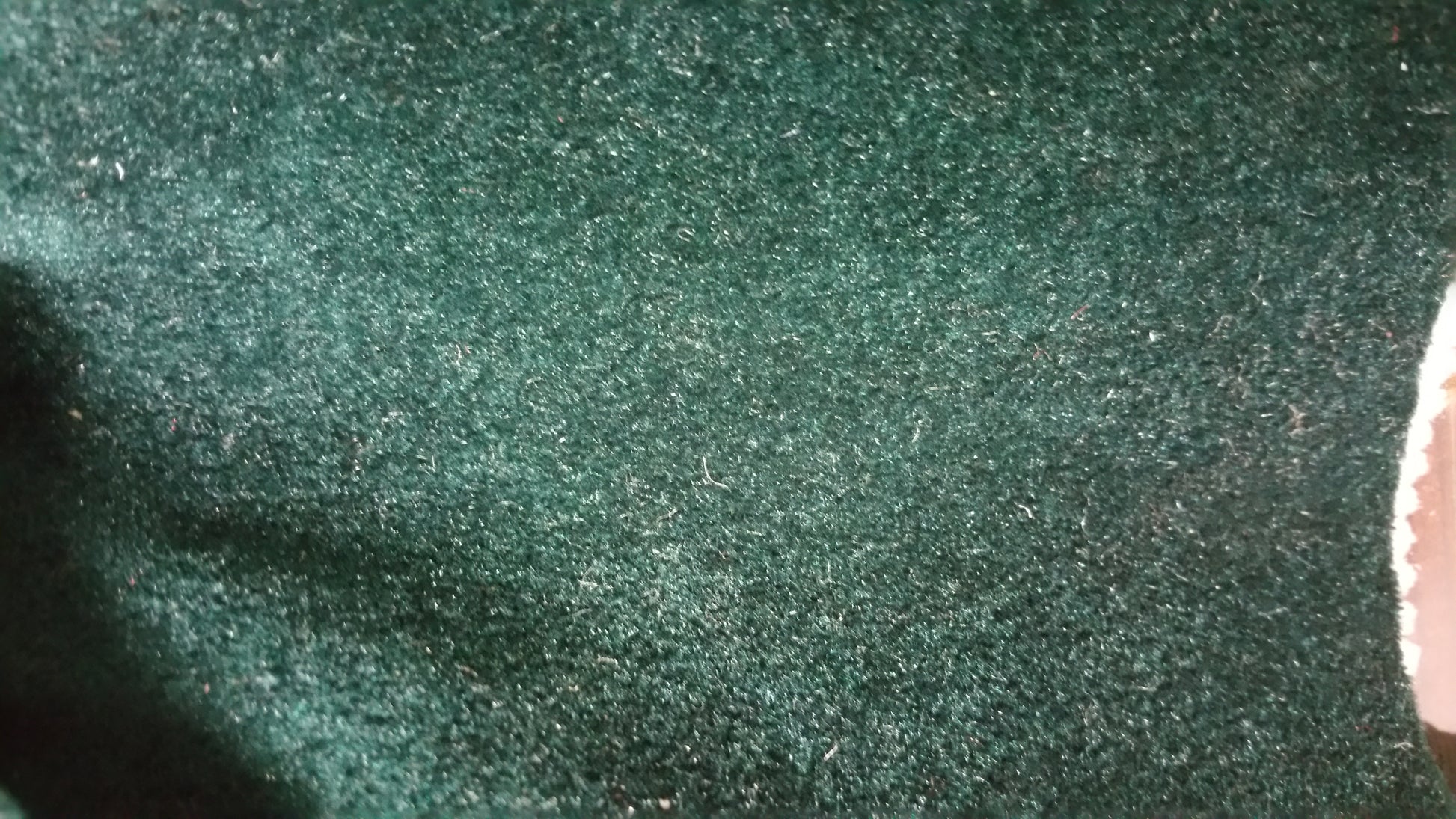 Ring 1289 Hunter Green Euro fabric swatch