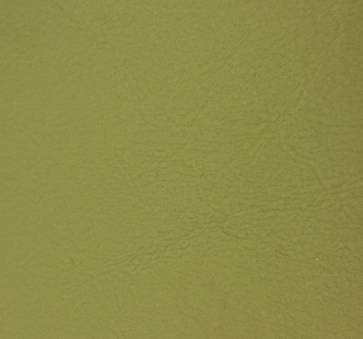 Ring 6076 AL898 Allante Parrot leather swatch, olive green.