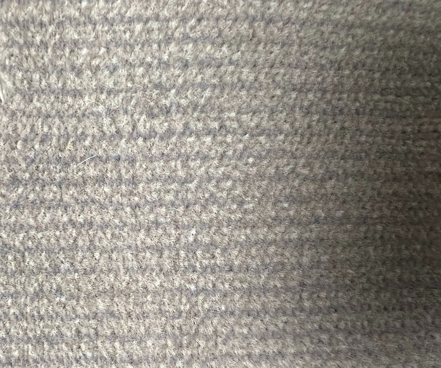 97.7086 Nuance Sage carpet texture sample