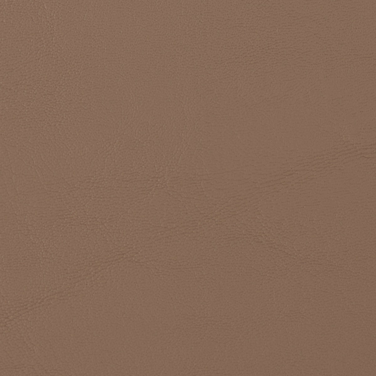 Allante Tumbleweed leather swatch: taupe textured finish