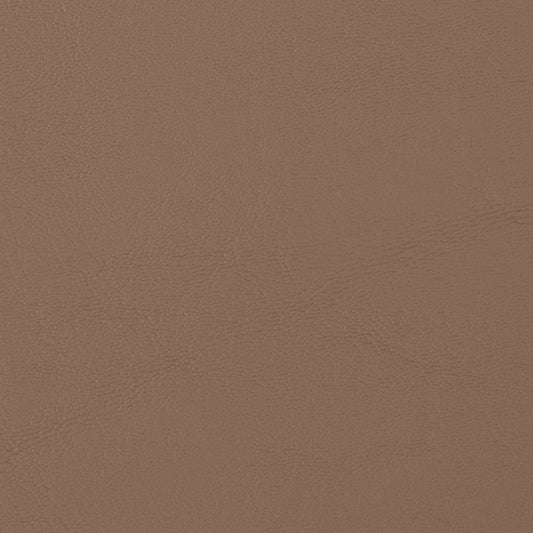Allante Tumbleweed leather swatch: taupe textured finish