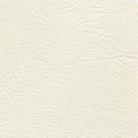 Tradewinds Plus Arctic Frost vinyl upholstery: off-white, textured leather-like finish.