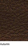 Asiago Autumn Premium Leather: rich brown textured leather swatch