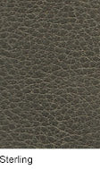 Asiago Sterling Premium Leather: Dark gray textured leather swatch.