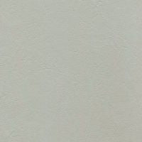 Armada Atlantic Mist ARM-100: Light gray textured paint sample