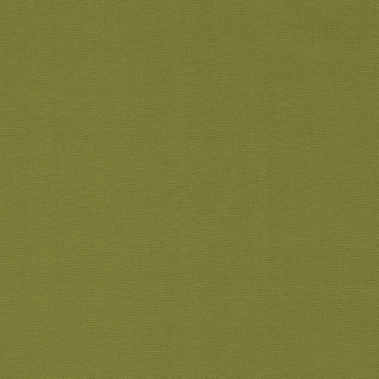 Bayside Apple BYS-108 textured linen fabric swatch, olive green.