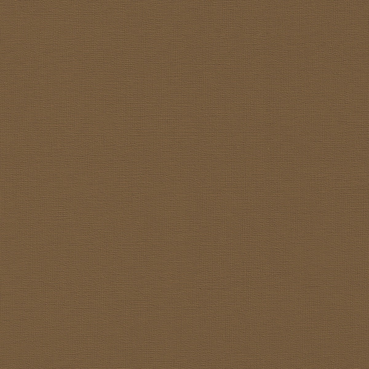 Bayside Empire Tan BYS-112: Textured brown fabric swatch.
