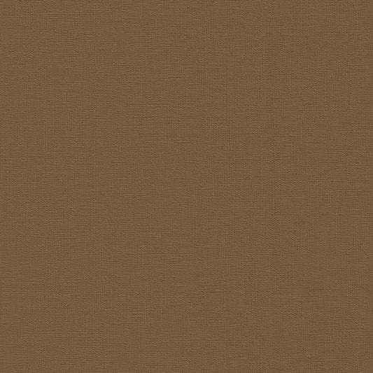 Bayside Empire Tan BYS-112: Textured brown fabric swatch.