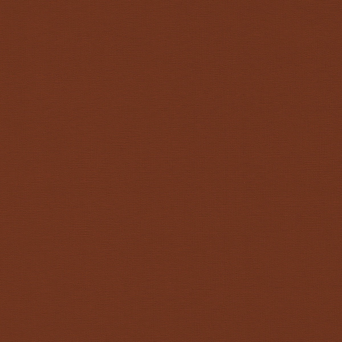 Bayside Sugar BYS104: Rich brown textured paper sample.