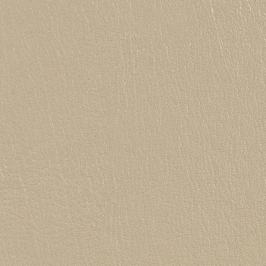 Colorguard Natural NFR 540044 full roll: Beige leather-like vinyl fabric.