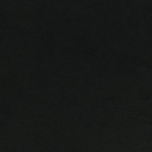 Sierra ESS958G black vinyl fabric