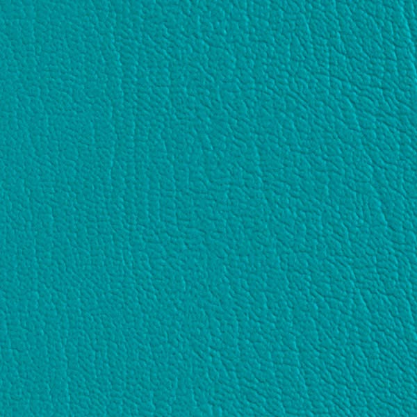 Colorguard Blue Nile NFR 540536 turquoise vinyl full roll