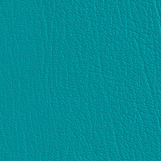 Colorguard Blue Nile NFR 540536 turquoise vinyl full roll