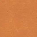 Jetstream Brilliant Bronze paint swatch: rich bronze hue.