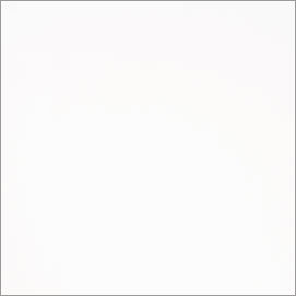 Newport Brilliant White NR-300 #4007 paint color sample