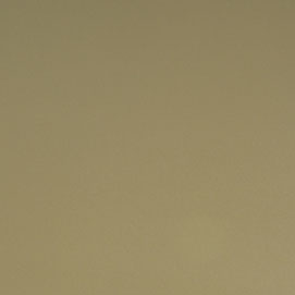 Rush Bronze Mist RU207: light beige textured paint swatch.